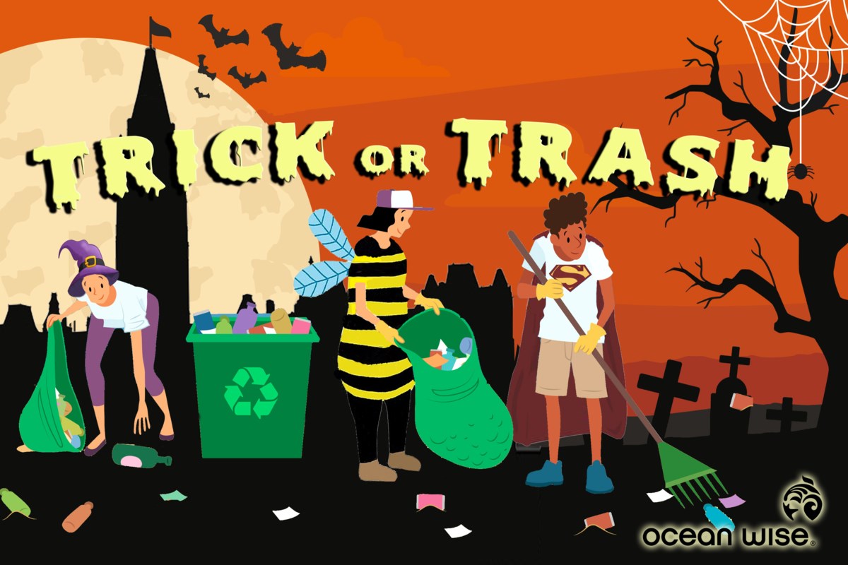 Trick-or-Trash: Halloween clean-up campaign launching in Ottawa | OttawaMatters – Oct. 2020