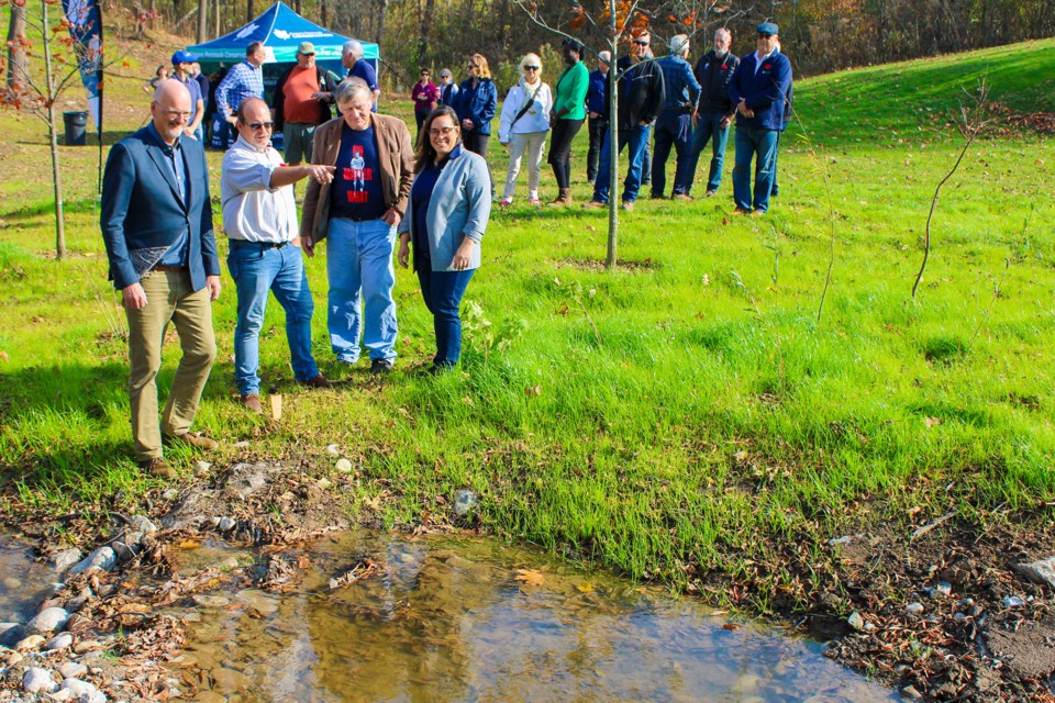 Steve Miller, second from left, who was project manager for the Niagara Peninsula Conservation Authority’s restoration work at the headwaters of 12 Mile Creek in Pelham, explains the work that was completed to, from left, Ed Gazendam, president of Water’s Edge Environmental Solutions, Pelham mayor Marvin Junkin, and NPCA chief executive officer Leilani Lee-Yates.