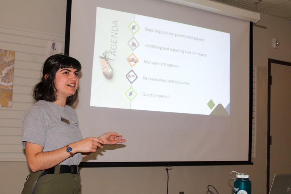 Emily Posteraro, the program development coordinator for the Invasive Species Centre, speaks at a workshop detailing how Niagarans can play a role in protecting the Greenbelt from the Spotted Lanternfly.
