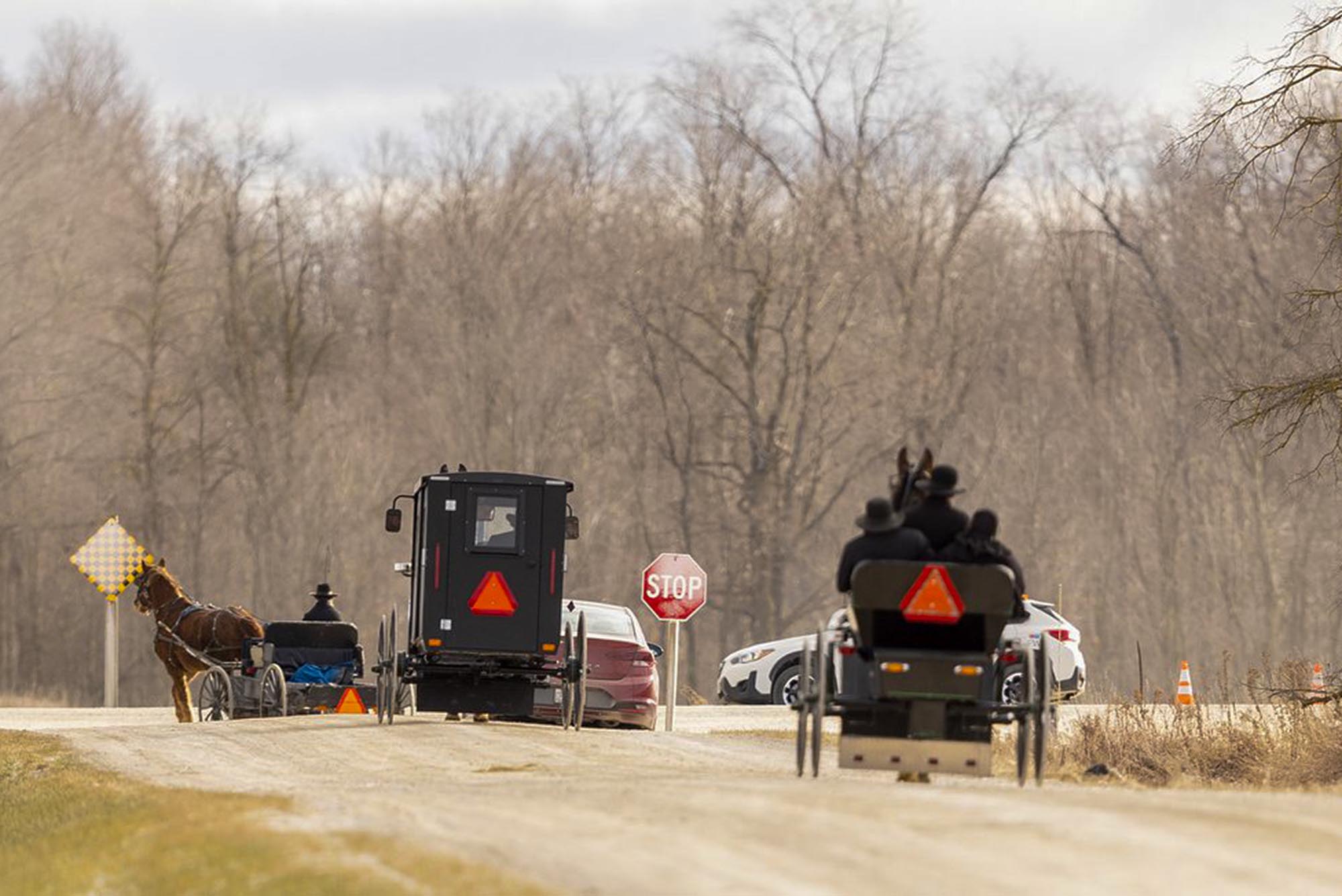 Five things to know about horse-drawn buggies on Ontario roads