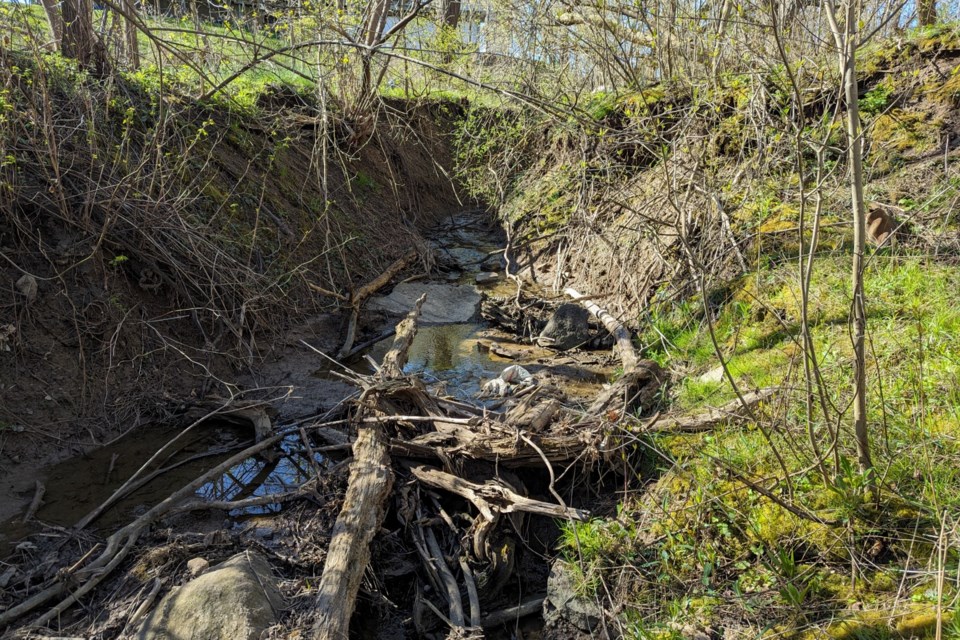 The Niagara Peninsula Conservation Authority and the Niagara Chapter of Trout Unlimited Canada have partnered to complete a restoration project on 12 Mile Creek in Pelham.