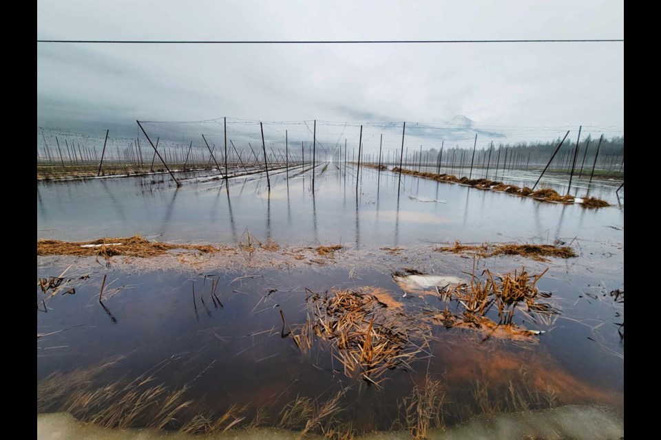 Myrtle Meadows under water