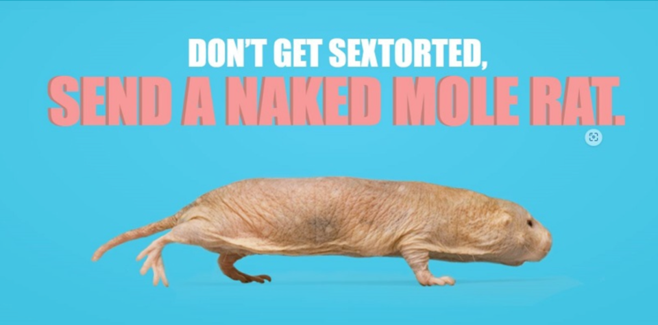 nakedmoleratsextortion