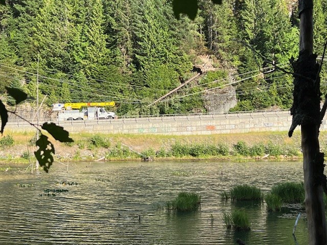 A tree down on some hydro wires near Nordic in Whistler on Monday, July 22.