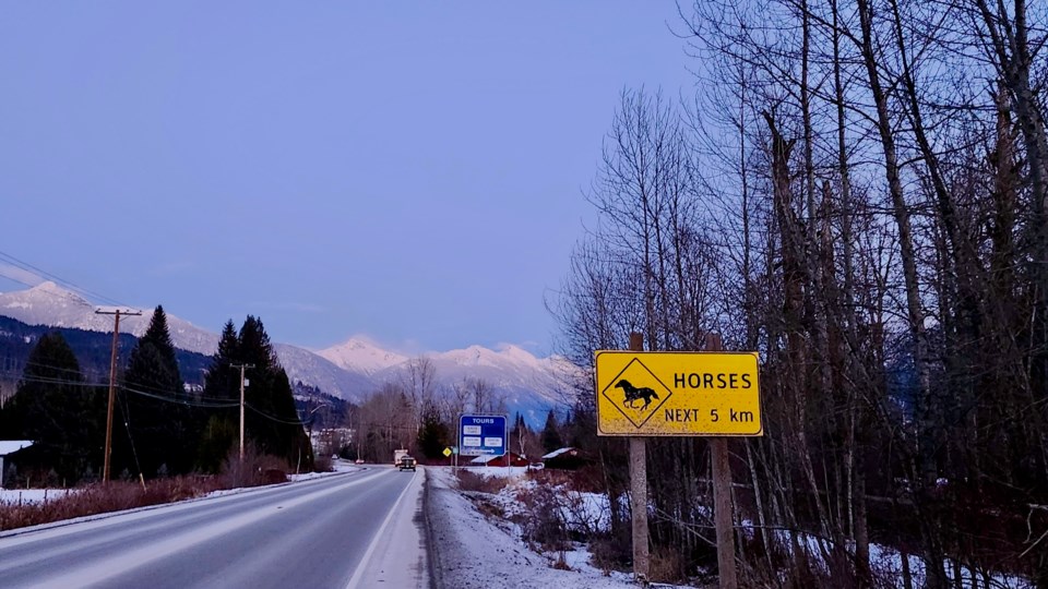 highway-99-horses-sign