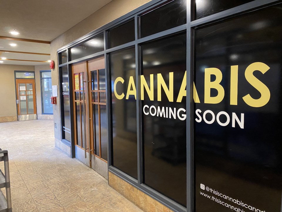 n-cannabis-review-3048-photo-by-braden-dupuis