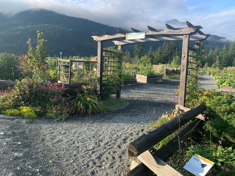 cheakamus-garden-3029-photo-by-kath-wilson-facebook