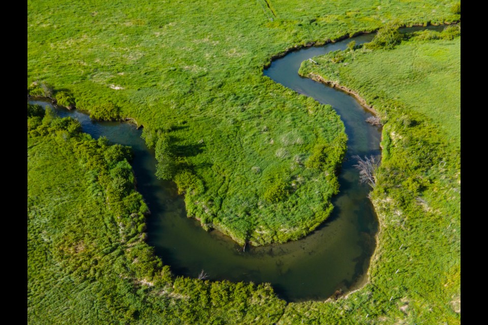 The Nature Conservancy of Canada's work at Gates Creek will restore the ecosystem for salmon and other species.