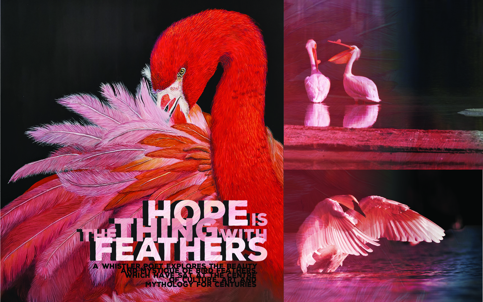 BIRDS OF A FEATHER, Industry Magazine