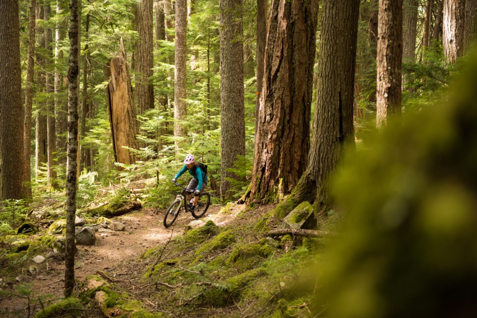 mountainbikingtrailwhistlerbc