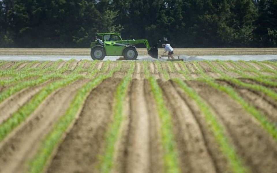 the-covid-19-pandemic-has-shown-that-migrant-labourers-in-canada-can-no-longer-be-treated-like-thro