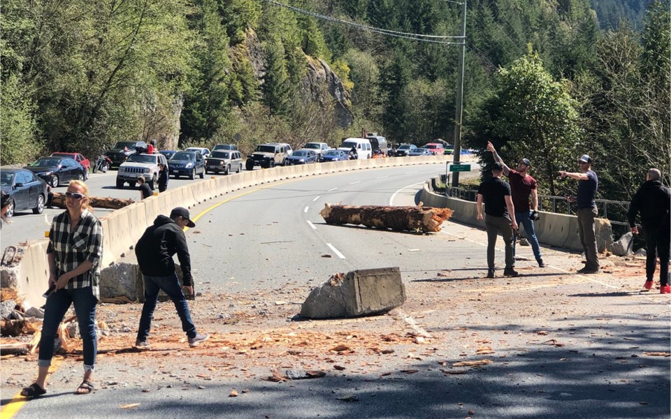 tree_down_hwy_99_lions_bay