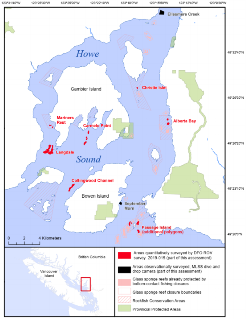 new-sponge-reef