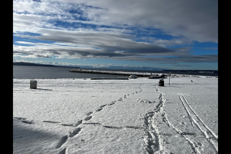 SKI TRACKS: Willingdon Beach had evidence of people walking with their dogs and skiing earlier today. But the usually busy park was empty around 12:30 pm.