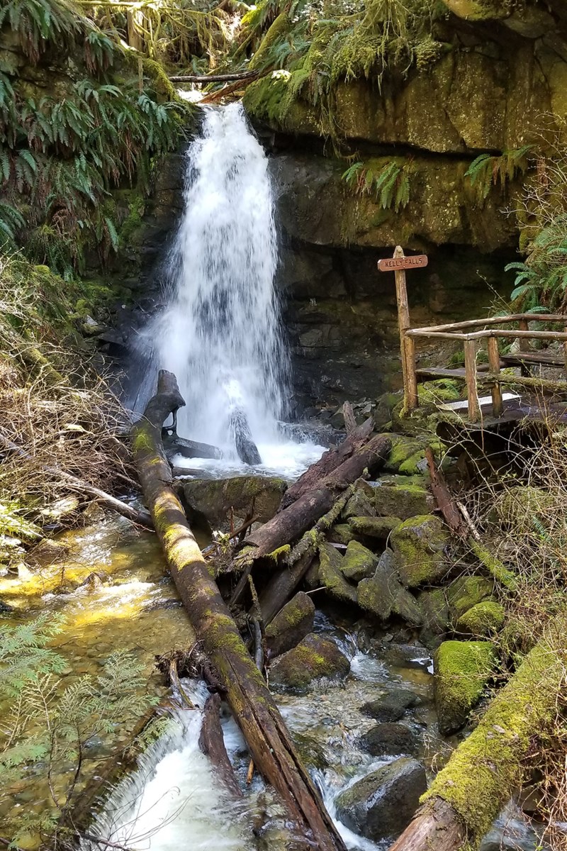 Good morning, Peak readers - Powell River Peak