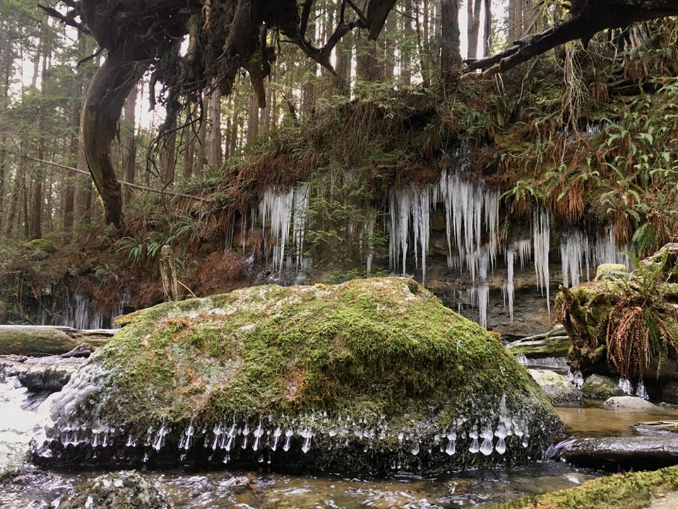 january_19_lang-creek_misty-oakes_2