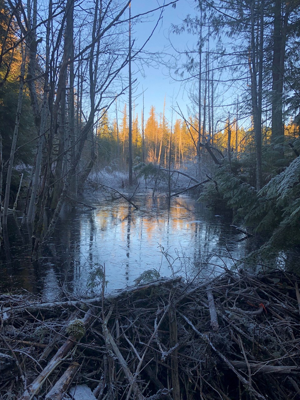 february_24_patty-oneill_lois_lake_main_road