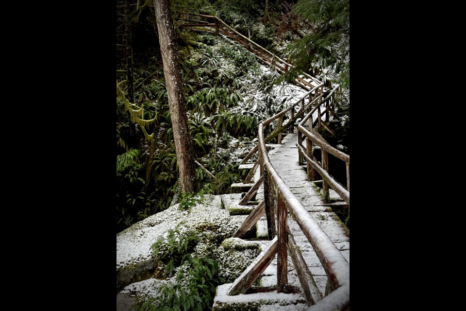 Lens Loop Trail (Southview Road).