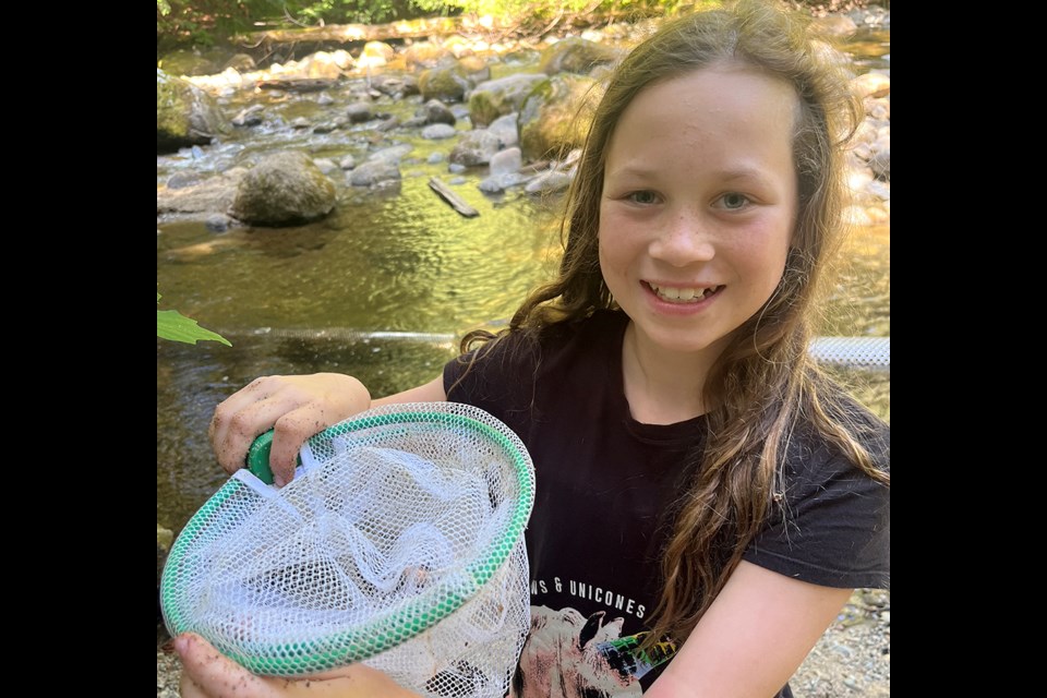 NET RESULT: Powell River Salmon Society coastal ecology summer camp participant Audrey Pike has her net ready for fun activity creekside as part of the summer camp’s programming.