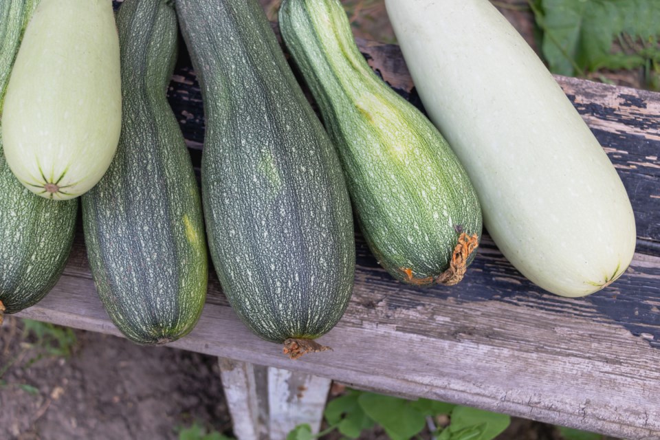 2944_getty_images_zucchini