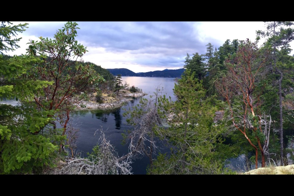 EASY NAVIGATION: The Crume Islands [above] are just some of many places to camp and paddle in Desolation Sound Marine Park.
