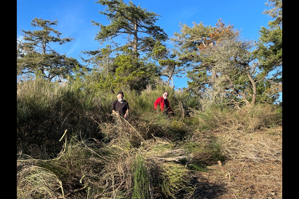 IMPROVING ENVIRONMENT: Duck Bay on Savary Island is an accessible place for participants to pull brooms. Afterwards, volunteers get together to have snacks, hot beverages and to watch the broom burn on the beach.
