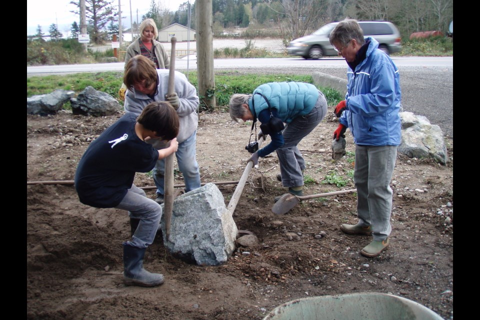 SUDDEN ANNOUNCEMENT: On January 30, Lang Creek Native Plant Garden members received notice that Powell River Salmon Society would be removing most of the Lang Creek Native Plant Garden in order to extend the parking lot at the Alex Dobler Salmon Centre. 
