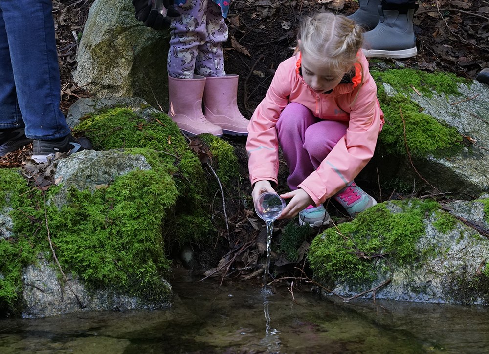 Powell River Salmon Society involves youngsters on 'Fry Day' - New West ...