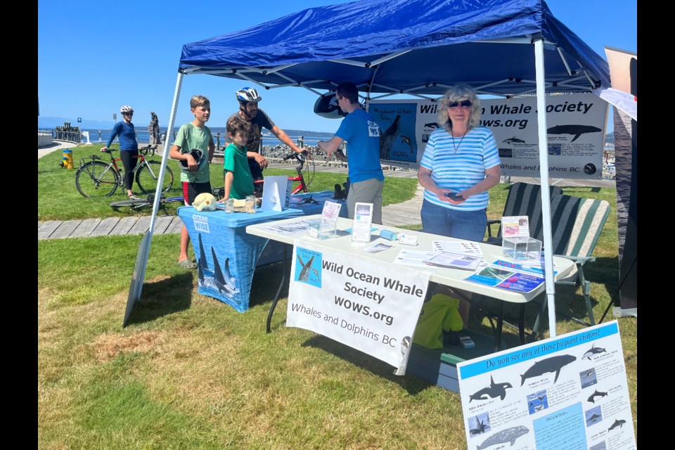 WHALE EDUCATION: Founder and director of Wild Ocean Whale Society Susan MacKay was at Westview Terminal engaging the public about whale awareness and other sea creatures that live in the qathet region.
