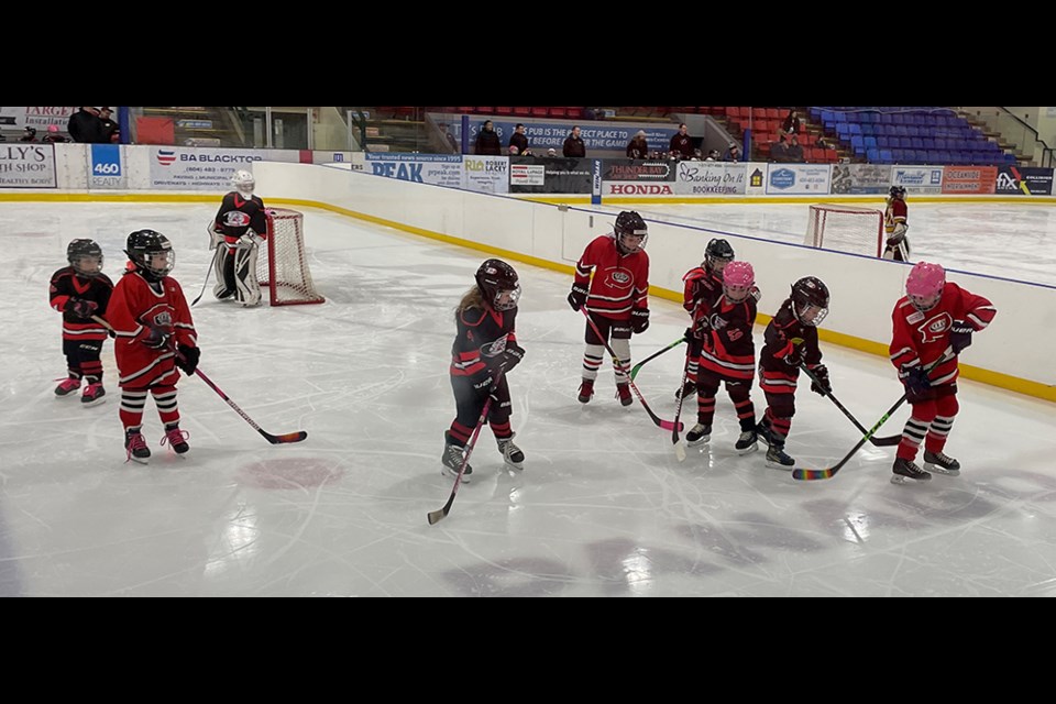 FOUR AT ONCE: All four teams play on the ice surface that is divided into two rinks.