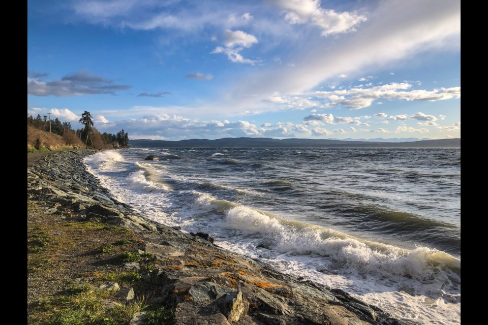 WINDY DAY:  Some qathet residents reported their power being out on October 16. A downed tree caused the outage,
according to BC Hydro.
