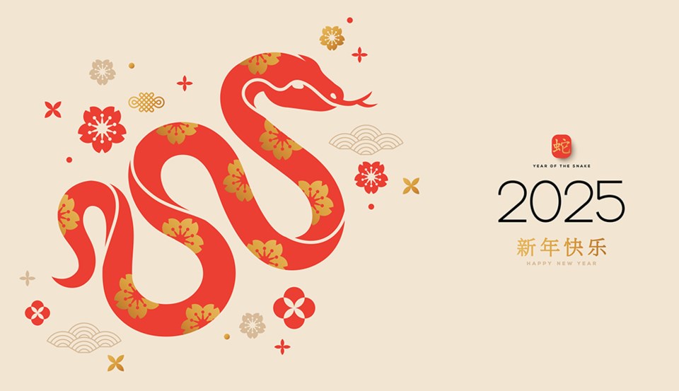 3017_year_of_snake