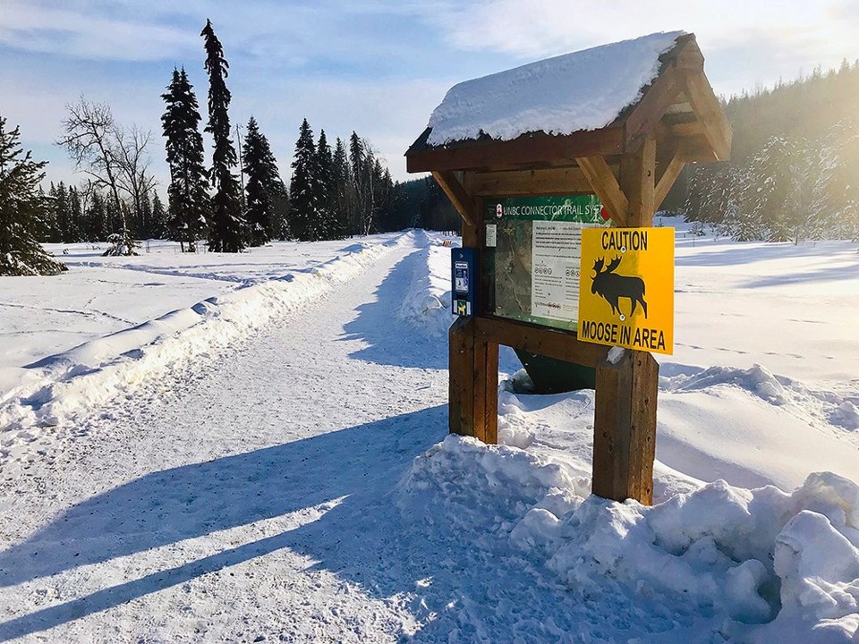 Moose warning Ginter's Meadow