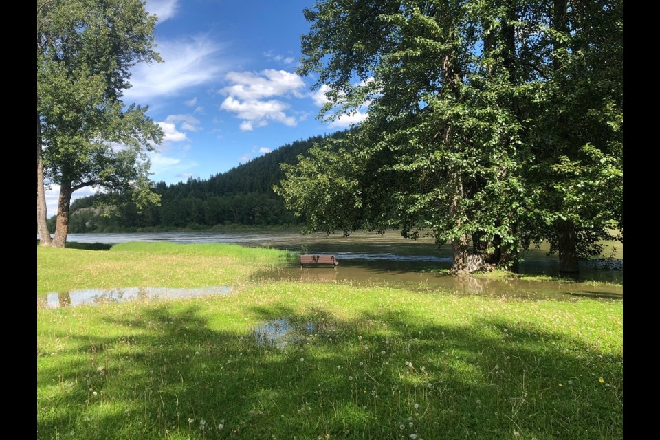 Paddlewheel Park in Prince George sees some flooding as the Fraser River overflows in June 2020. (via Hanna Petersen, PrinceGeorgeMatters)