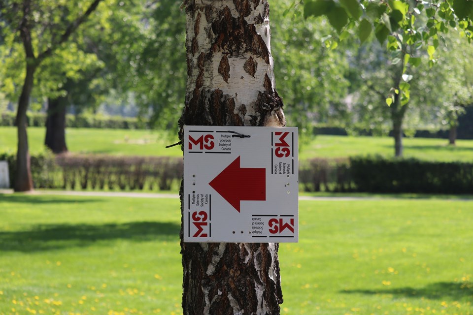 The annual Prince George MS walk took place at Lheidli T'enneh Memorial Park. (via Hanna Petersen)