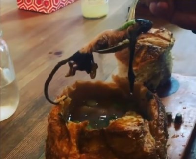 an-instagram-video-allegedly-showing-a-rat-found-in-a-soup-bowl-of-a-gastown-restaurant