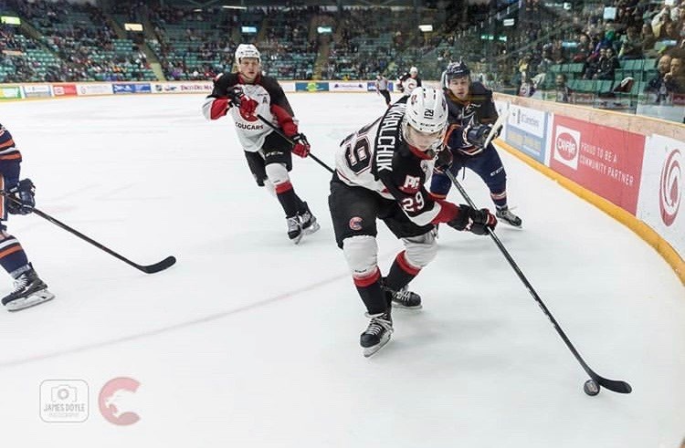 Vladislav Mikhalchuk (#29) carries the puck in the corner of the CN Centre during the last game of the 2018-19 season against Kamloops (via Prince George Cougars/James Doyle Photography)