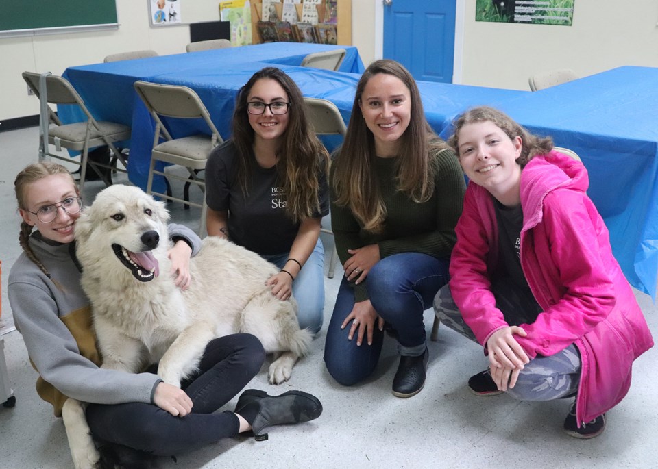 SPCA summer camps teach Prince kids all about animals Prince