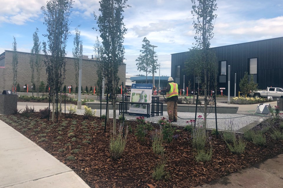 A first look at Wood Innovation Square Park. (via Hanna Petersen) 