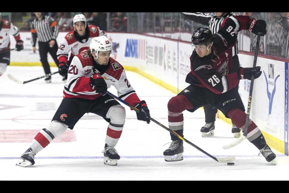 Cougars forward Ben Riche steals the puck from Giants forward Connor Levis Wednesday at CN Centre.