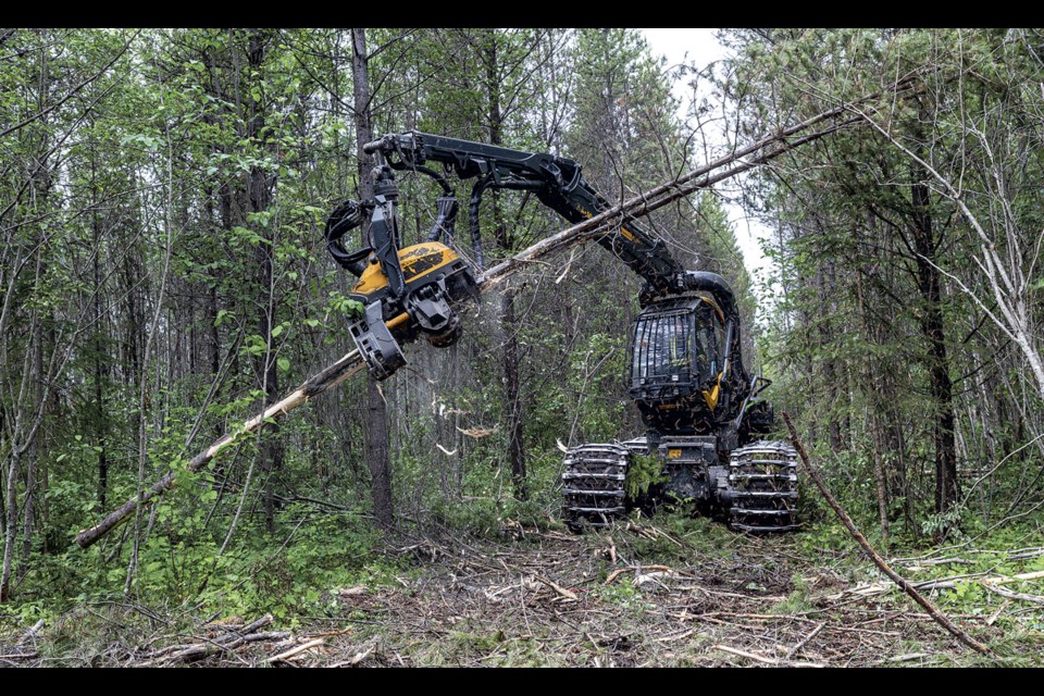 Nico Kilgast operates a Ponsse Scorpion harvester, selectively logging and thinning a woodlot near the McBride Timber Road west of Prince George.