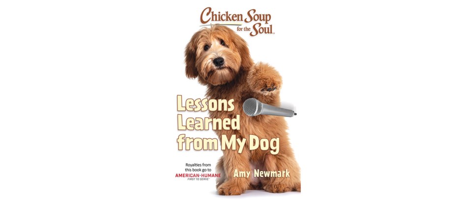 chicken-soup-dog-stories-feb-2023