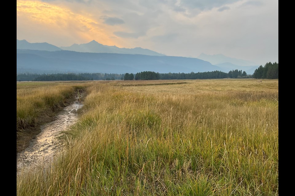 Cranberry Marsh-West is 38.3 hectares of wetlands 292 km southeast of Prince George