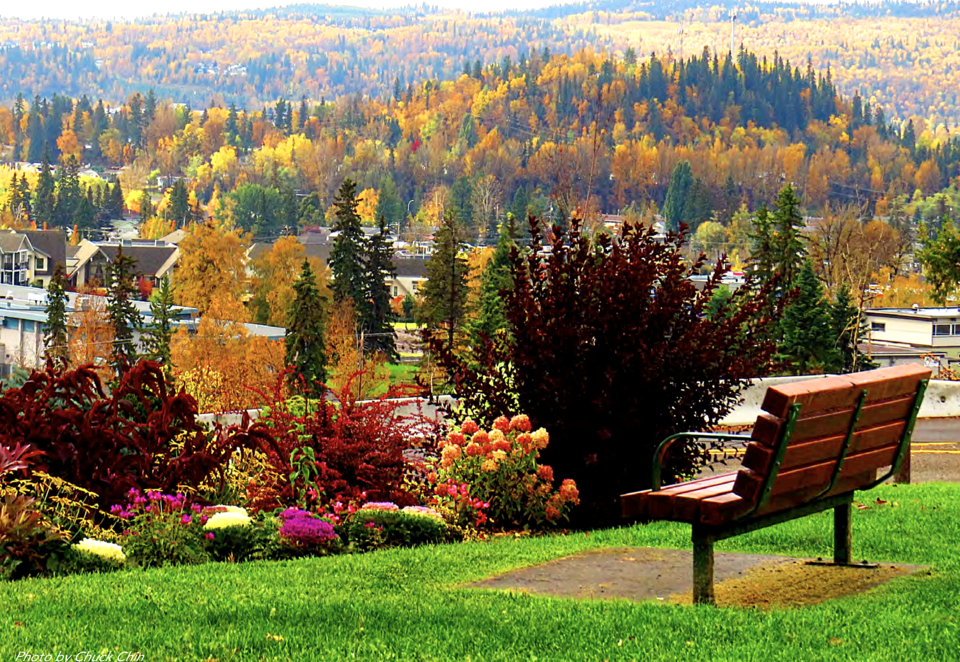 fall-shot-connaught-hill-park