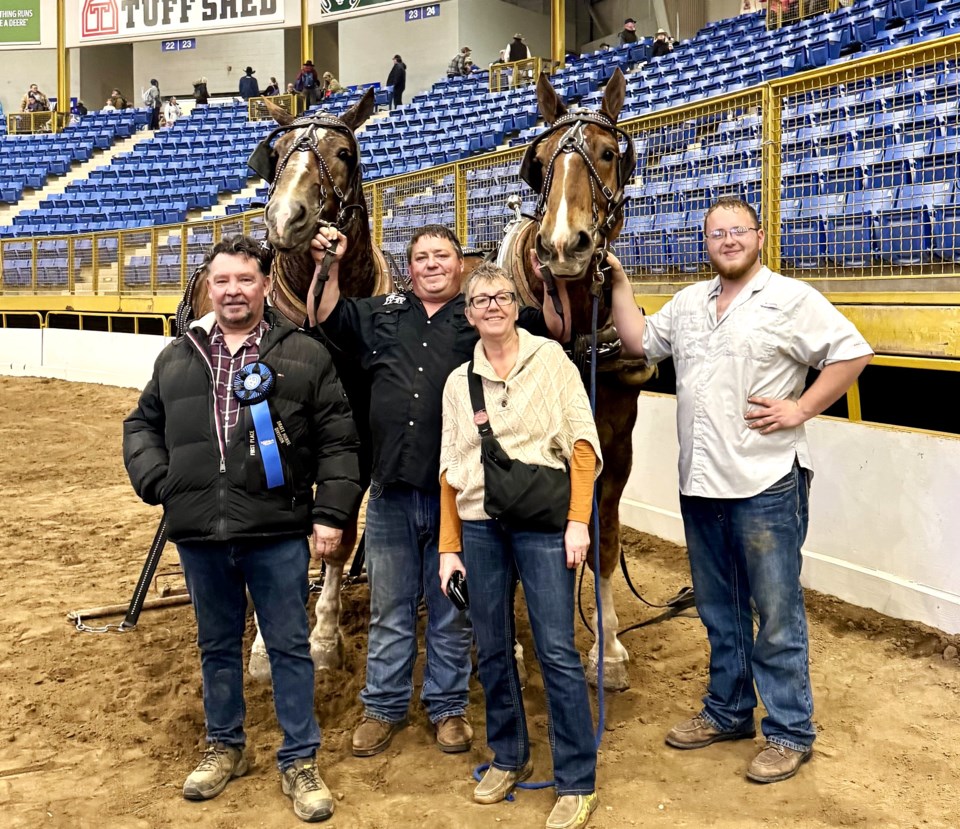 250126-pickering-heavy-horse-pull-national-western-stock-show