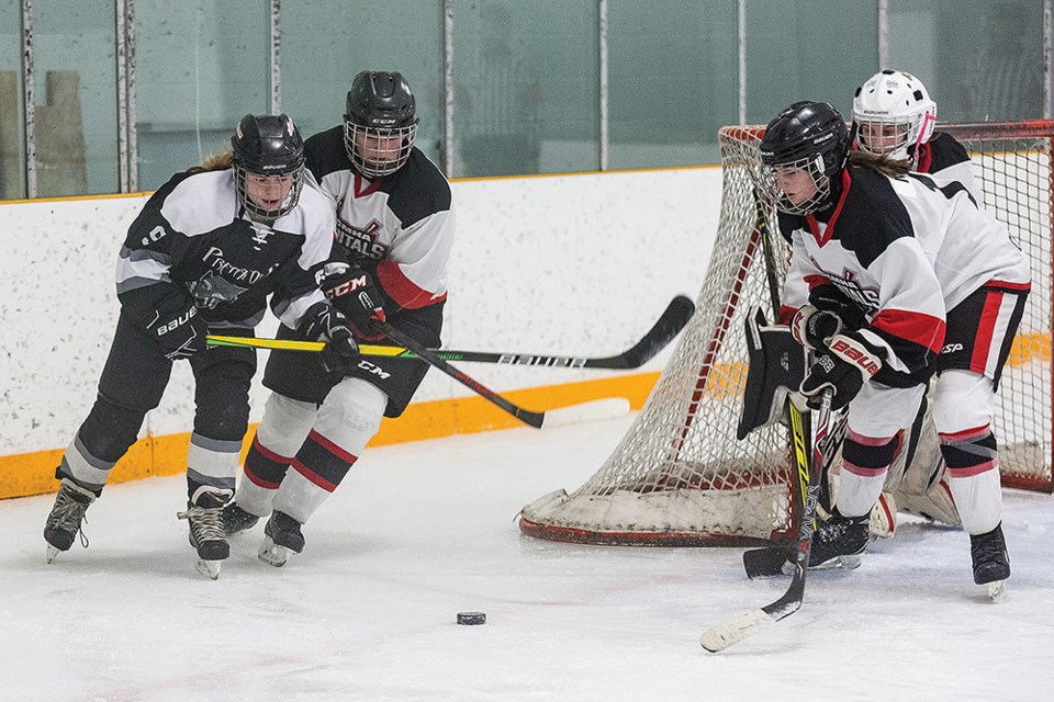 U18 Capitals earn split against Predators - Prince George Citizen