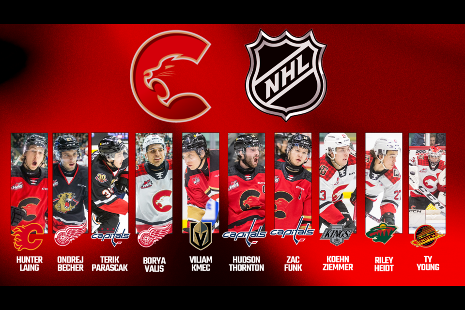 Ten players from last year's Prince George Cougars team that got to the third round of the WHL playoffs are attending NHL development camps this week.