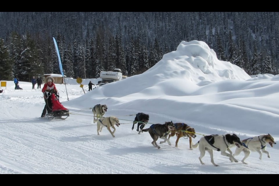 Ann Douglas, 74, is seen here during the first part of the Gold Rush Trail Dog Sled Mail Run at Troll Resort near Quesnel on Friday, Feb. 7 2025.