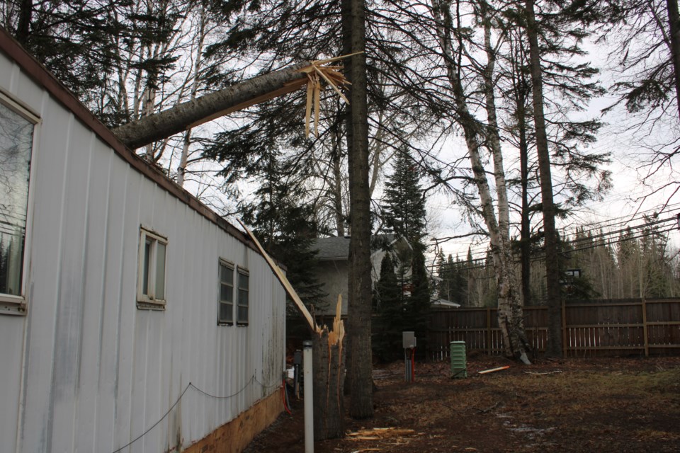 A tree fell on top of a mobile home in Irvindale Trailer Park in the Hart.