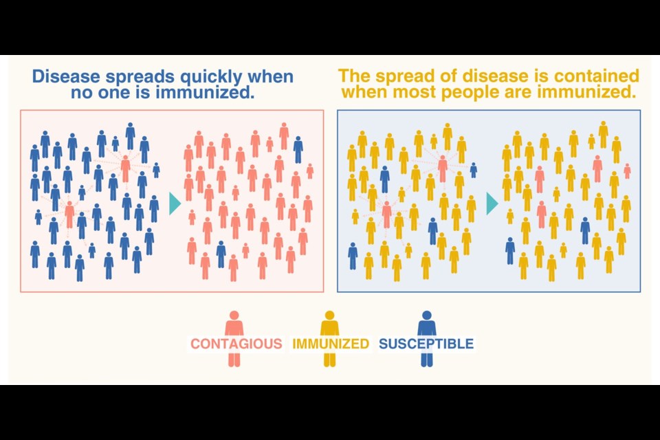 Herd immunity is vital to present the spread of disease, as this graphic shows.